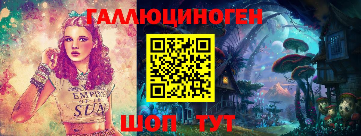 Галлюциногенные грибы Cubensis Псков